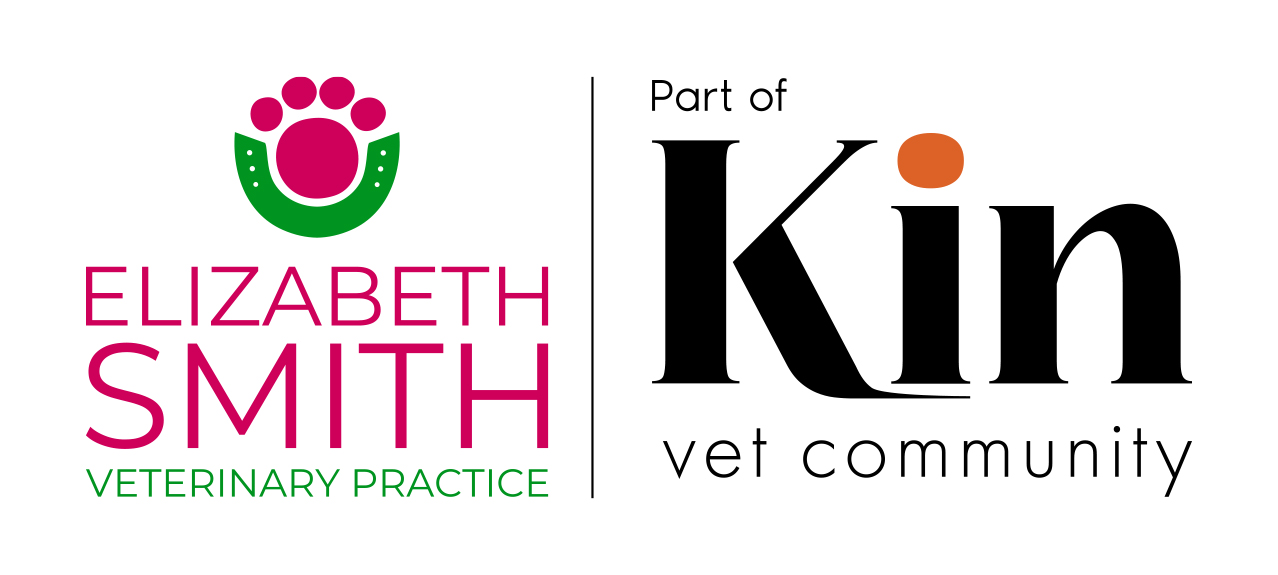 ESmith and KIN vet services logos