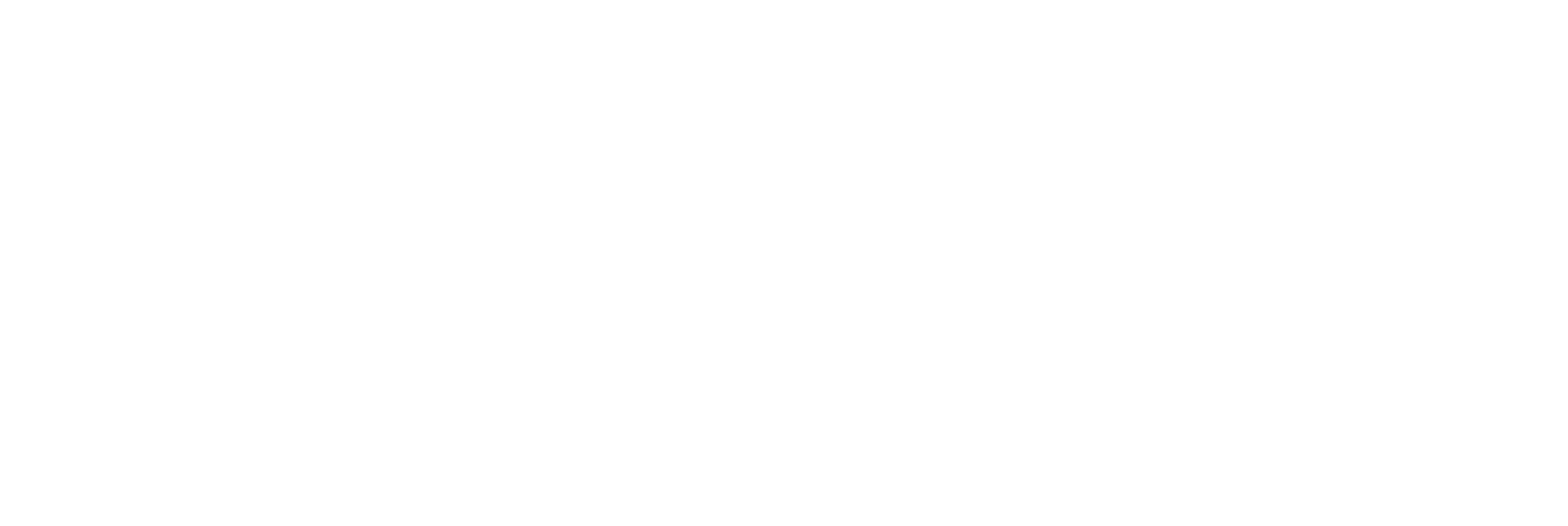 Vets Now logo, vet emergency support service
